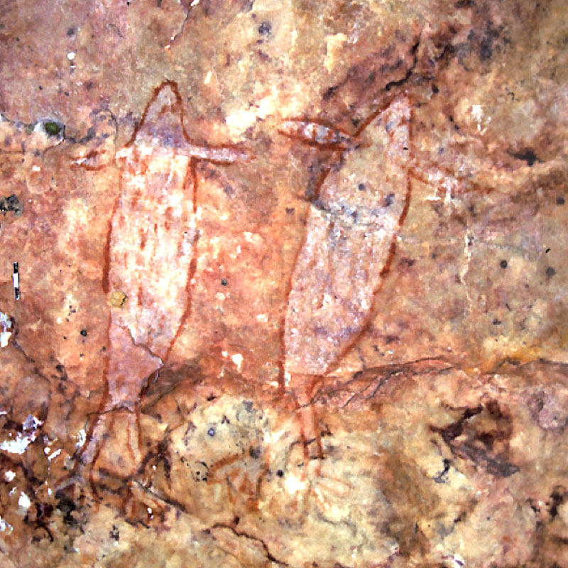 Thumbnail Image 1